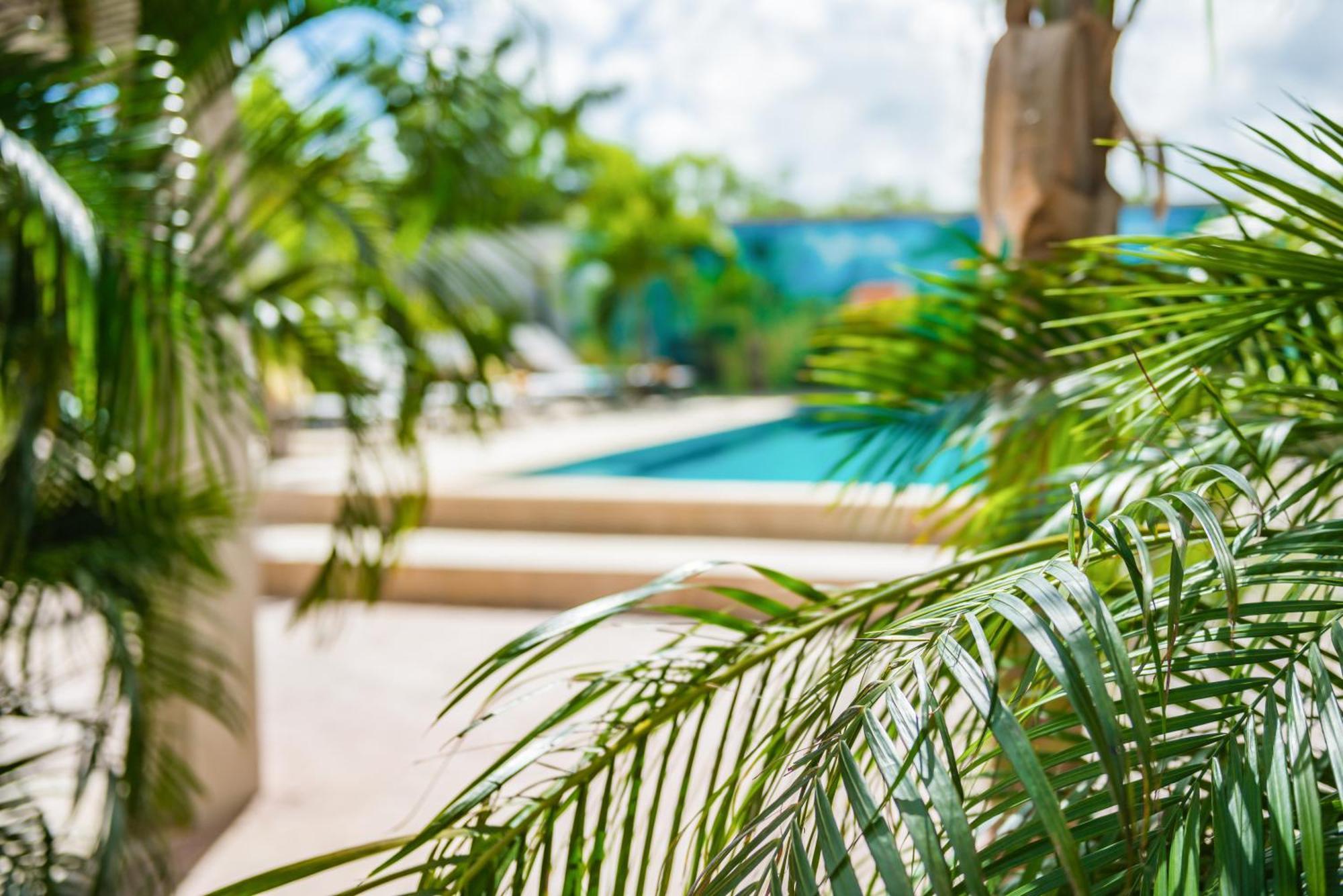 Casita Palma Boutique Resort 克拉伦代克 外观 照片